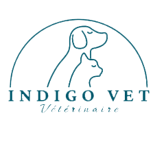 Indigot Vet